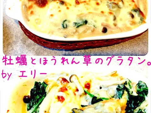 冬のごちそう！牡蠣とほうれん草のグラタン。